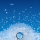 Illustration for article titled Why Is There A Hole In Airplane Windows?